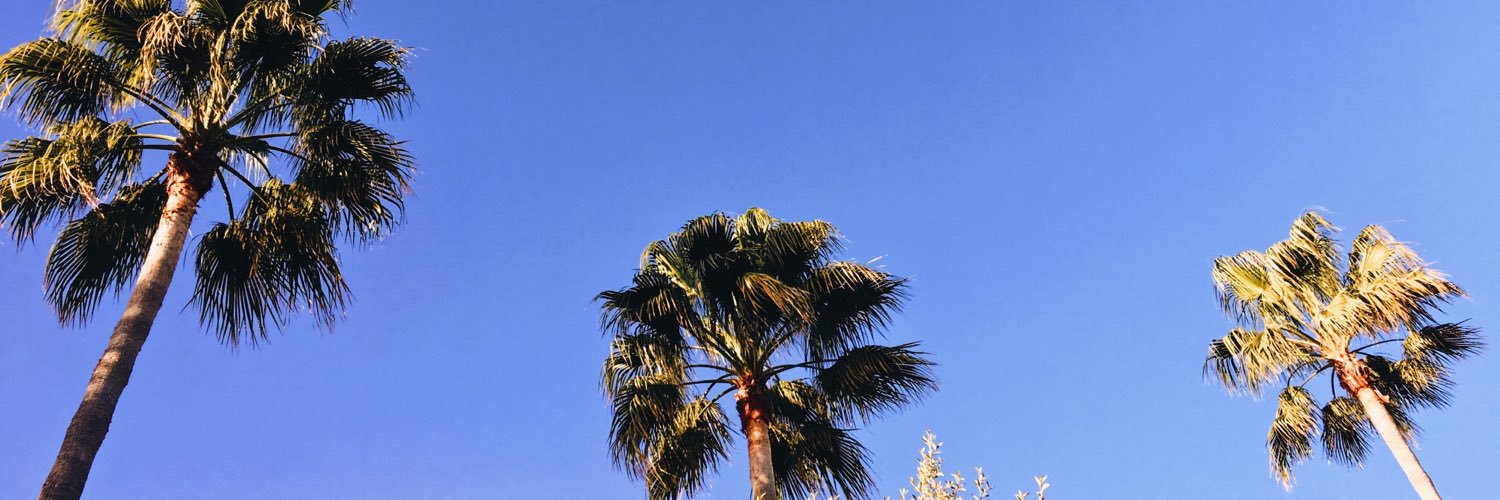 MelissaVall_'s profile banner image