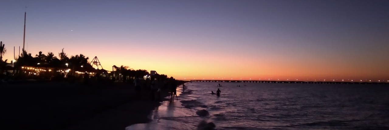 Dany | 🍓🥑 banner