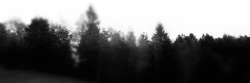 RidcOrDic's profile banner image