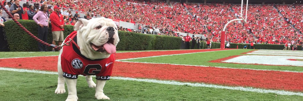 SportsGuyAllen's profile banner image