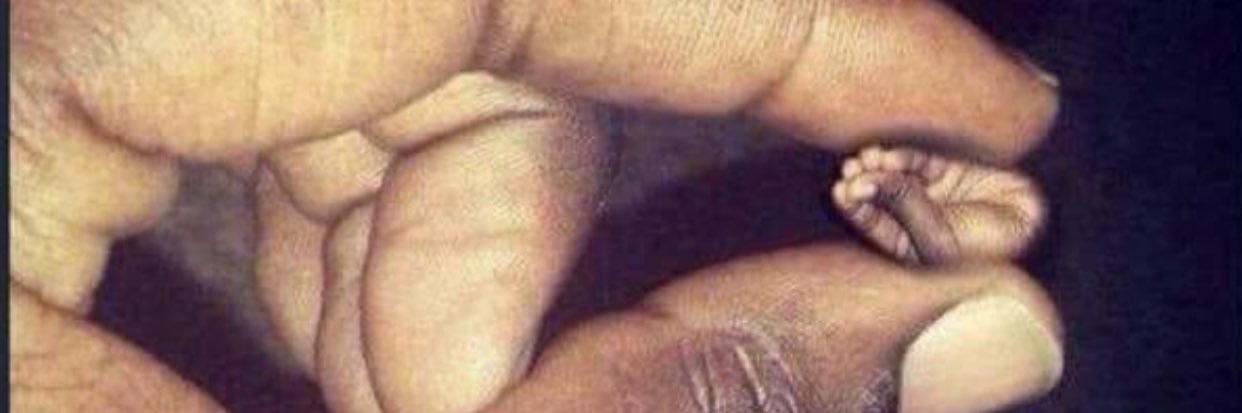 __zbo__'s profile banner image