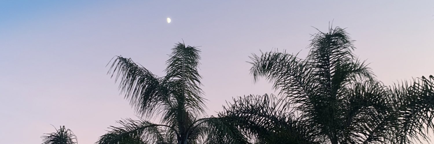 michellefdezm's profile banner image
