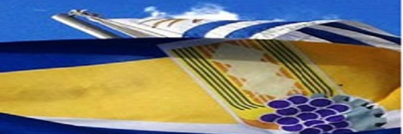 elcarmense's profile banner image