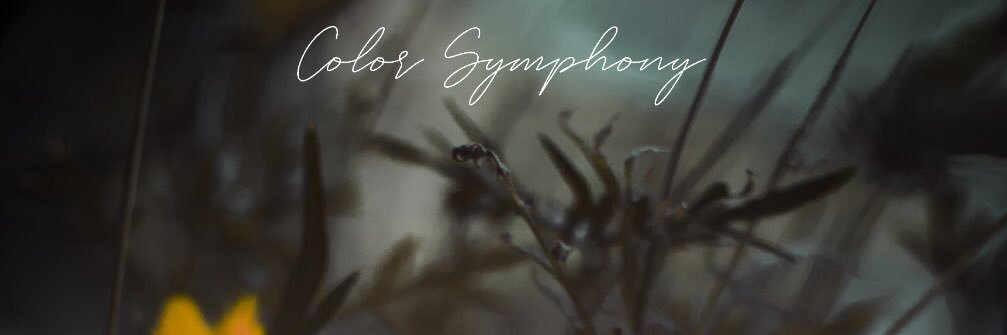 hakimputria's profile banner image