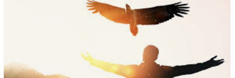 EagleEye61 banner