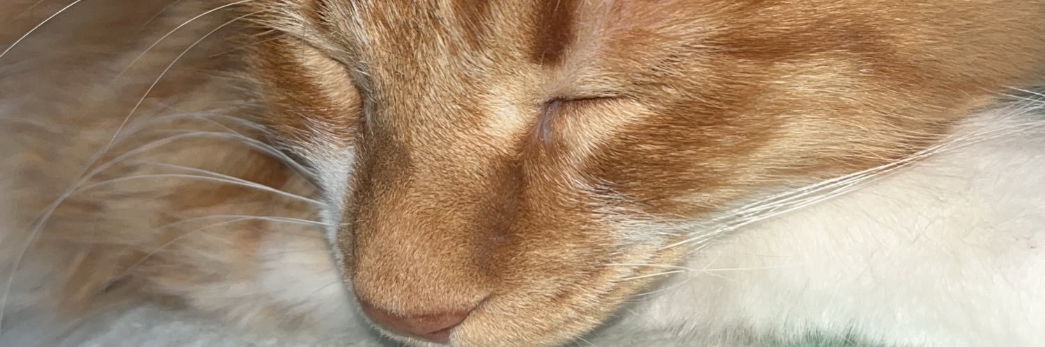 feertrejooo's profile banner image