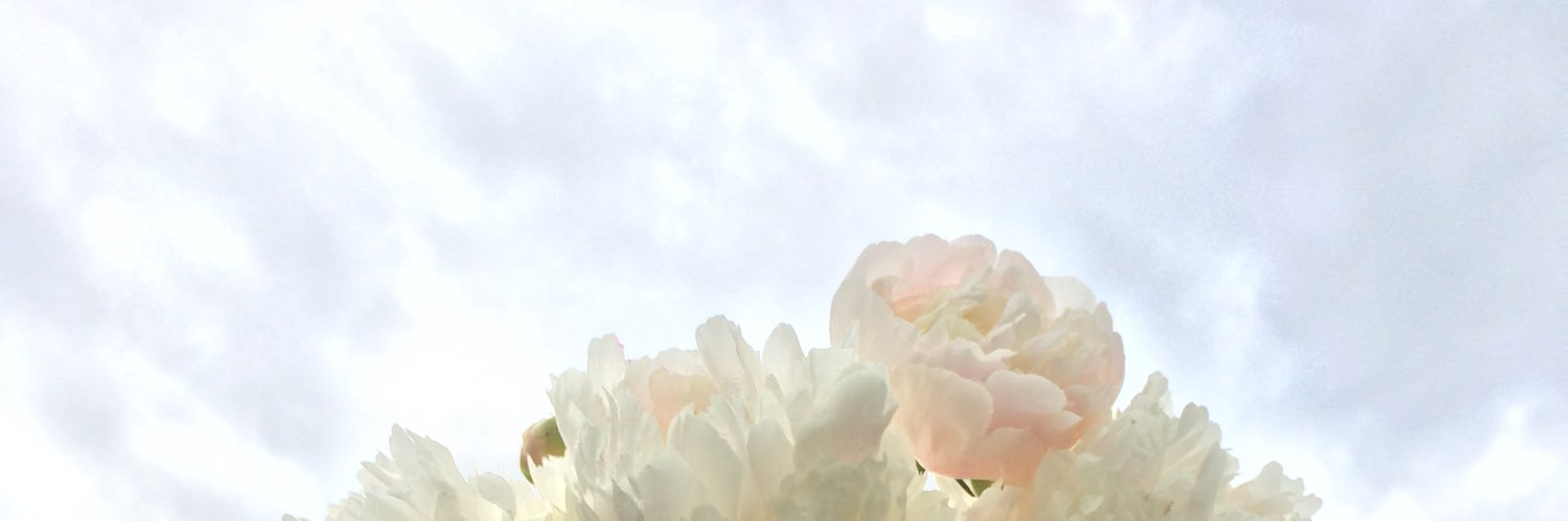 Ksenia2591's profile banner image