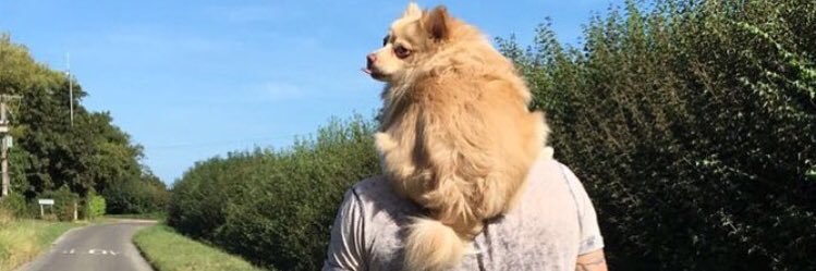 millynaseb's profile banner image