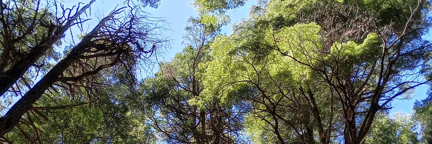 MarianoCGE's profile banner image