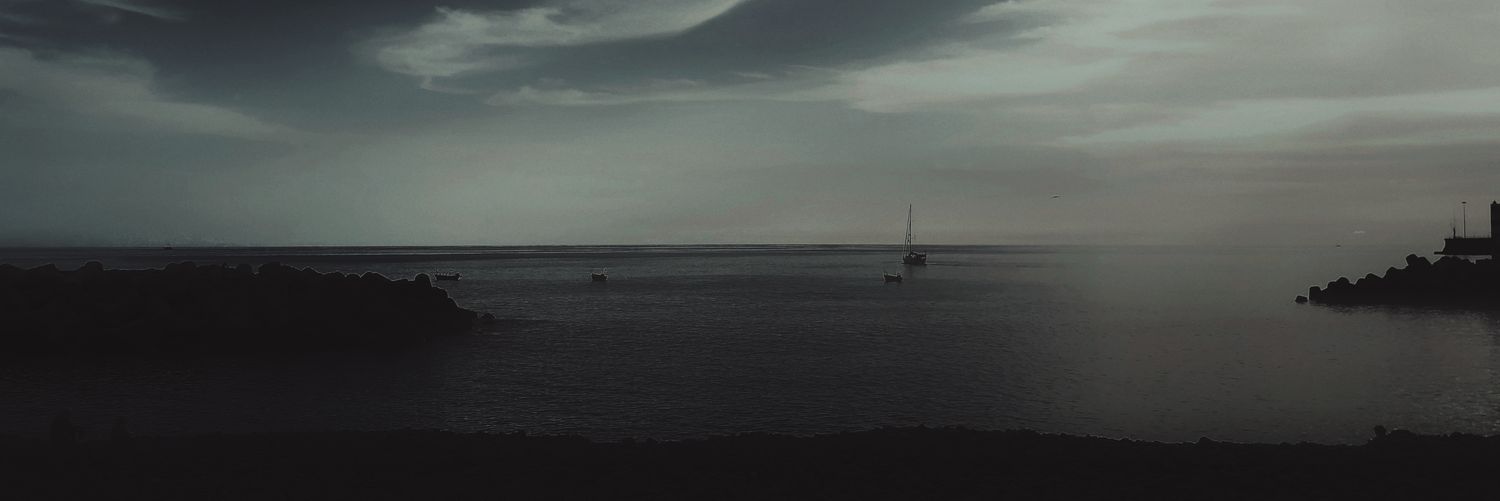 PMad95's profile banner image