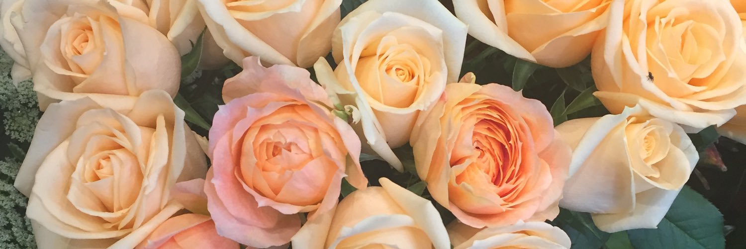 m_310xx's profile banner image