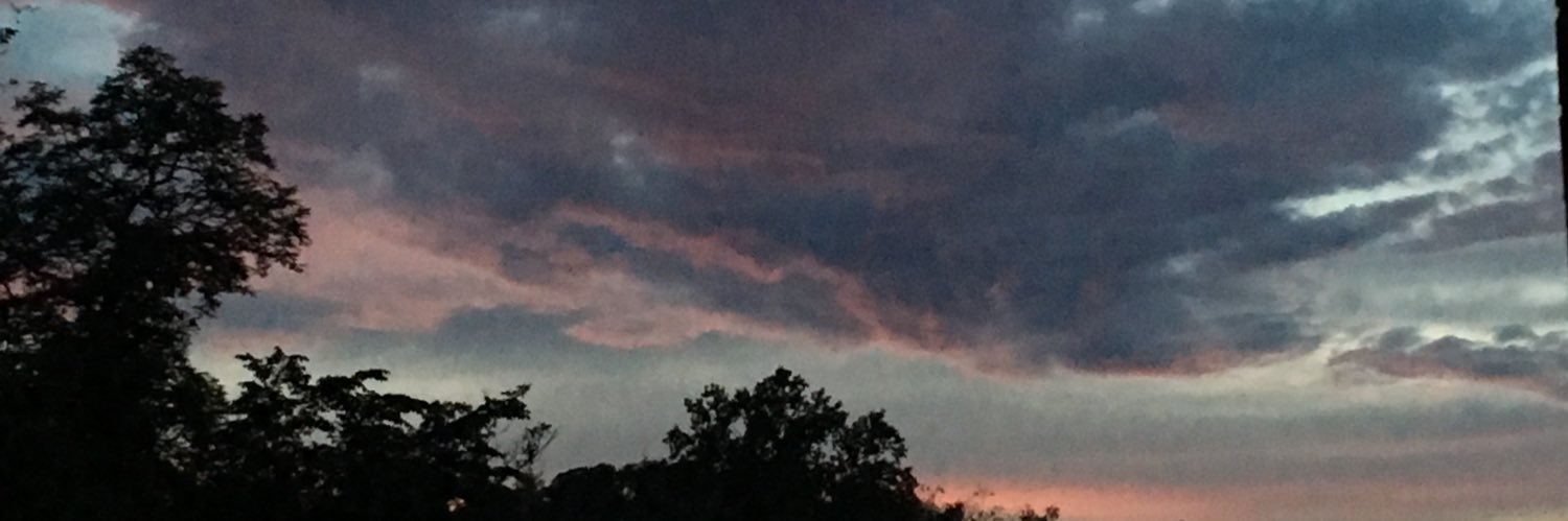 susan seranwrap(liz) banner