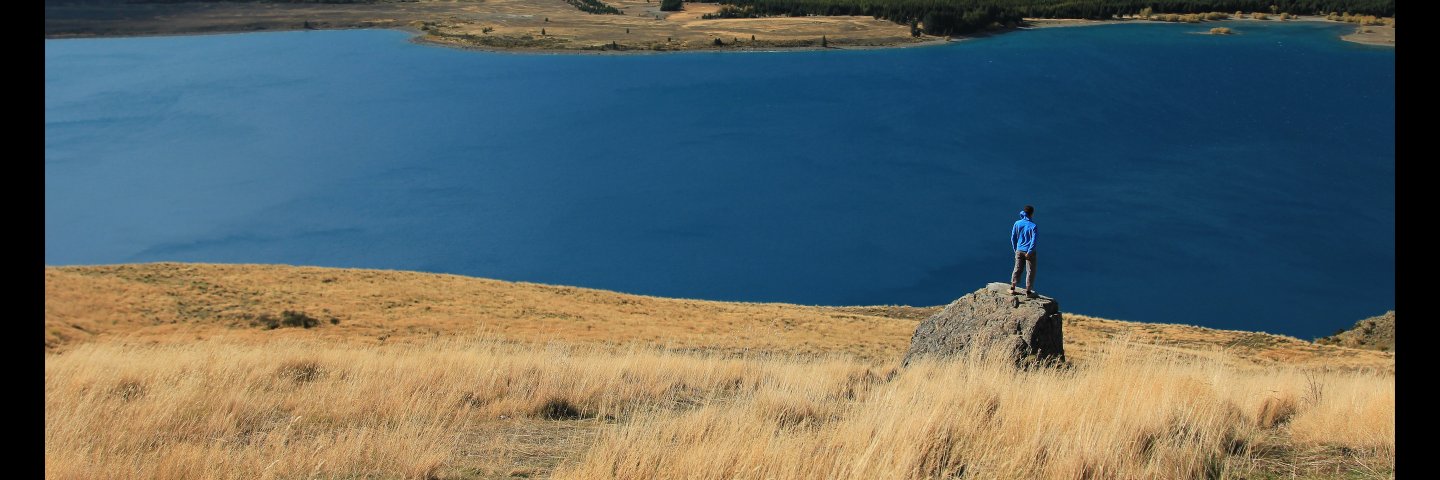 Pigmeroid's profile banner image