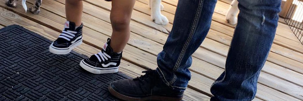 dming13's profile banner image