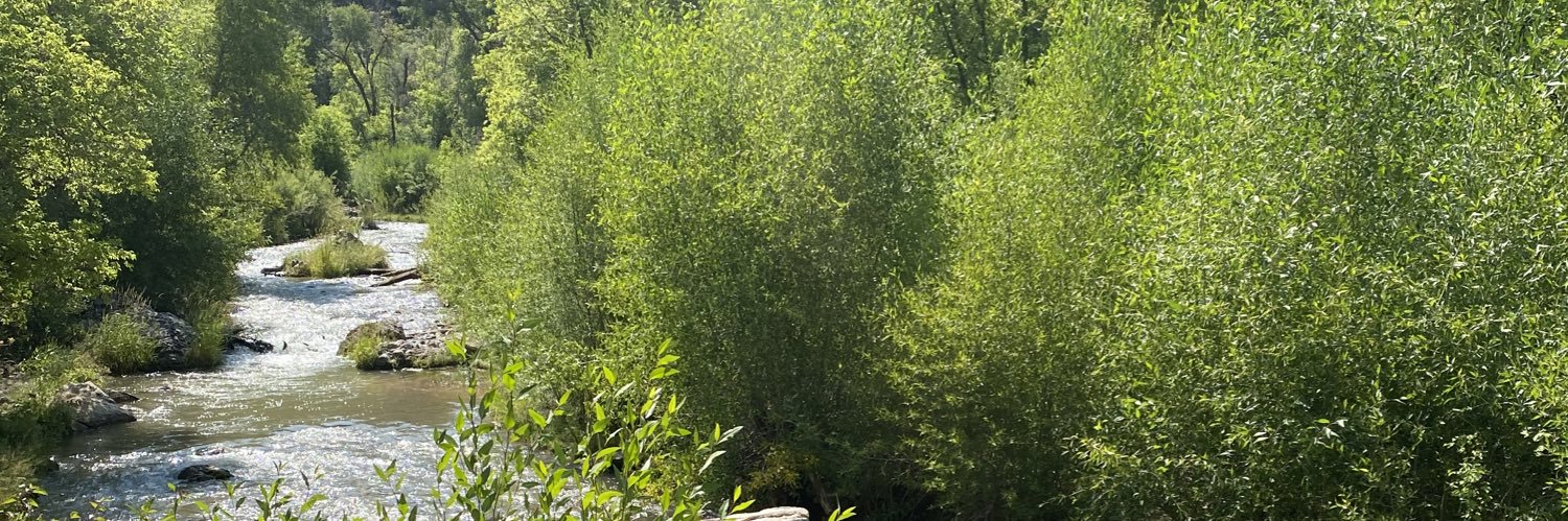 RikkardAmbrose's profile banner image