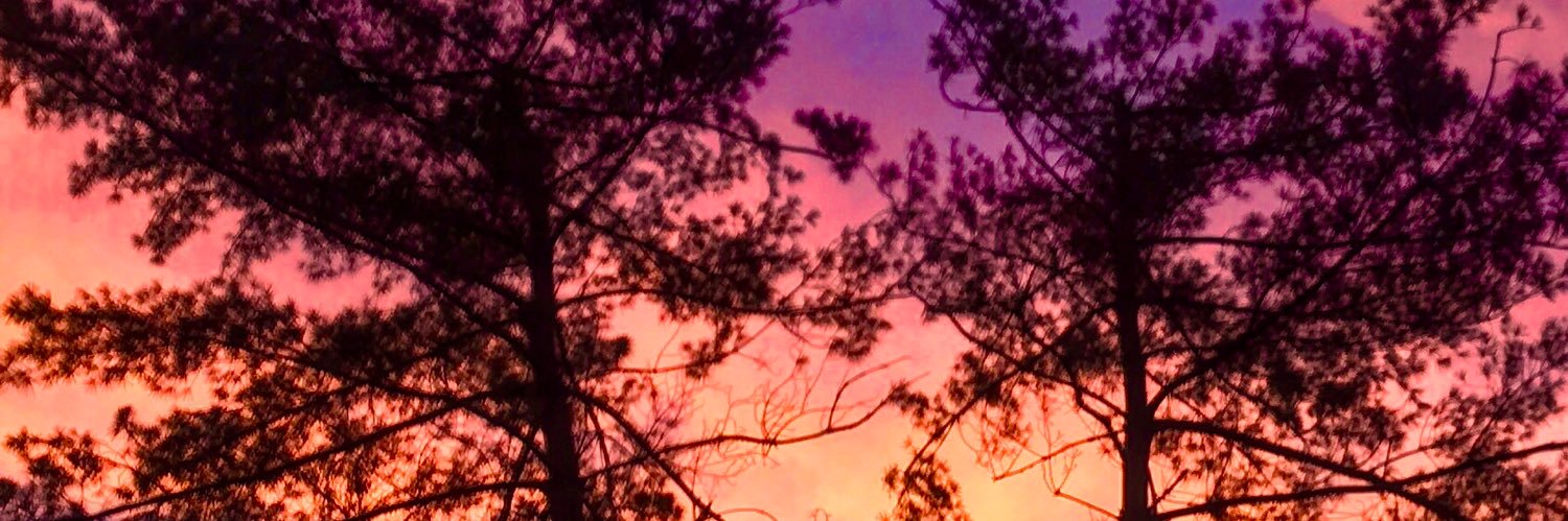 BellaOfLou's profile banner image