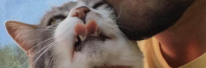 SimonNekbeen's profile banner image