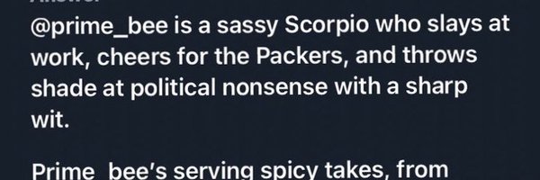 prime_bee Profile Banner