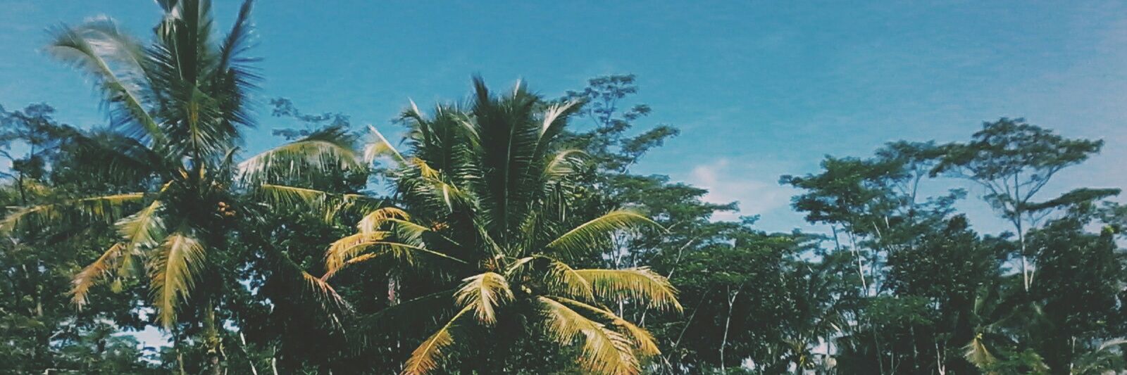 arrnicole_'s profile banner image