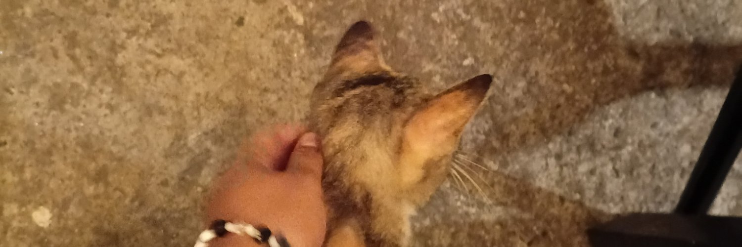 itscollantesbea's profile banner image