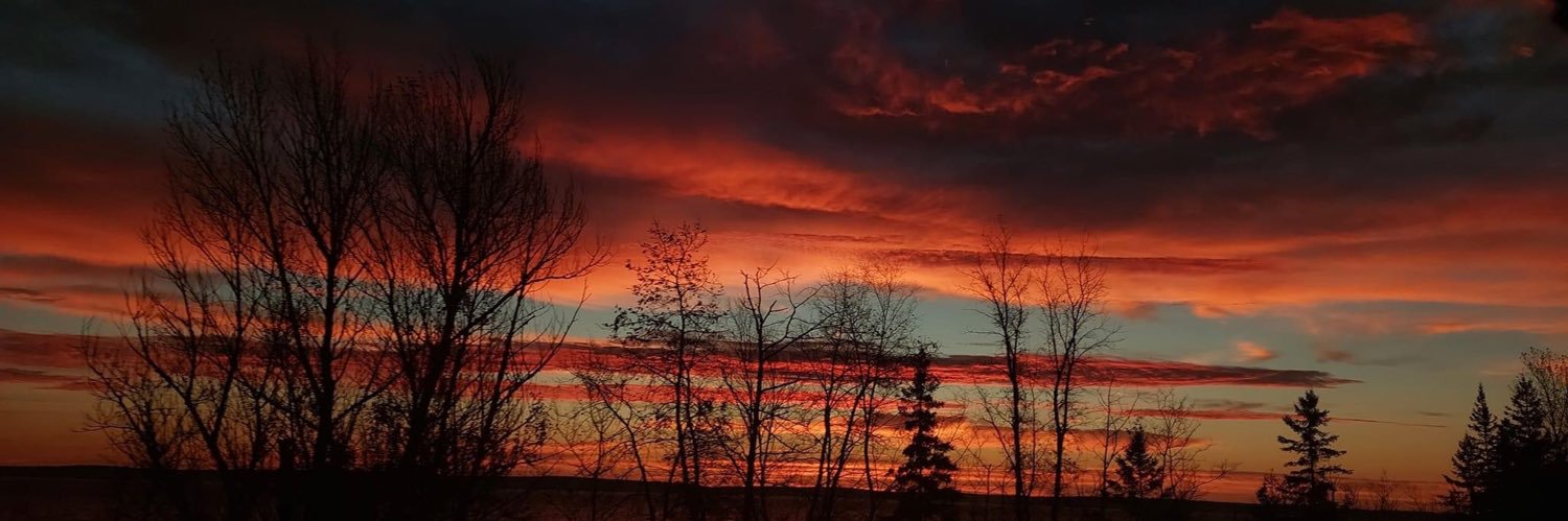 lynn_ashlee's profile banner image