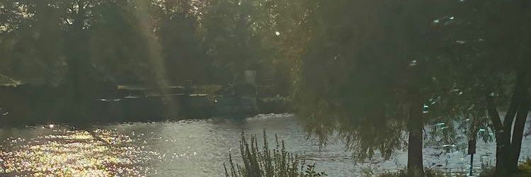 seraphibc's profile banner image