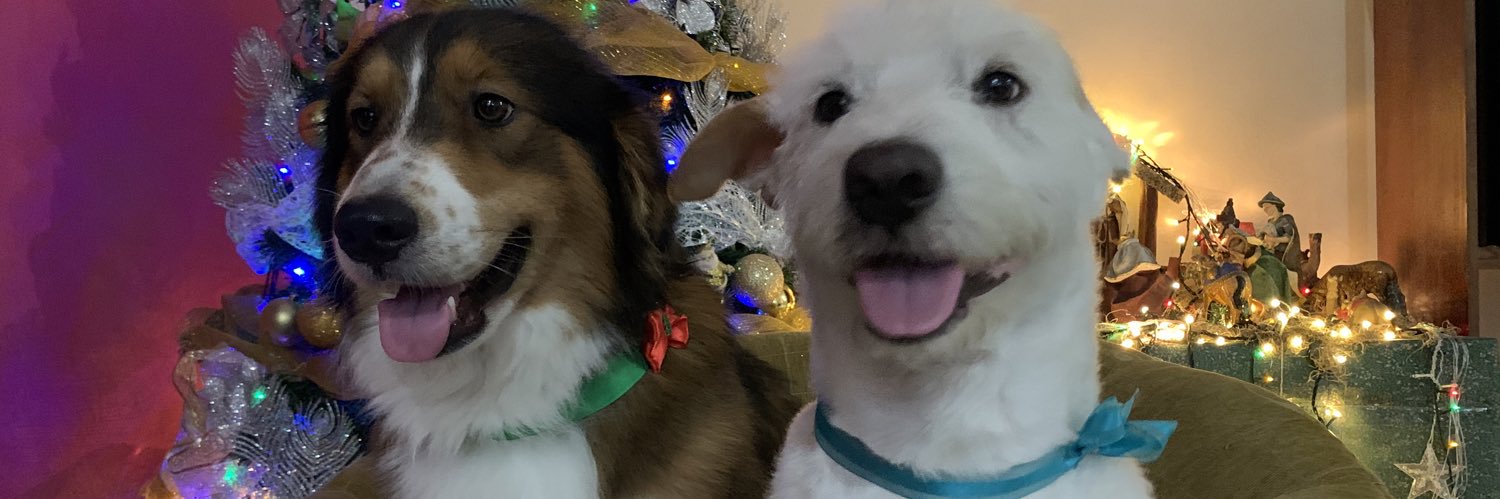 AngieCastillo04's profile banner image