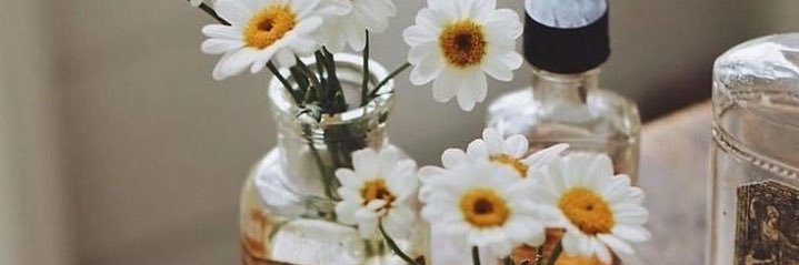 nut_anusaraa's profile banner image