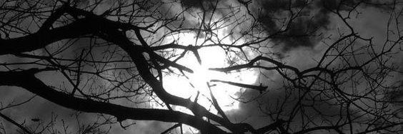 viewersubb's profile banner image
