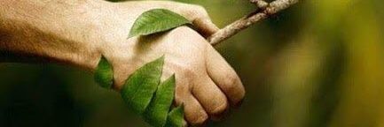 SwapnilDodmani's profile banner image