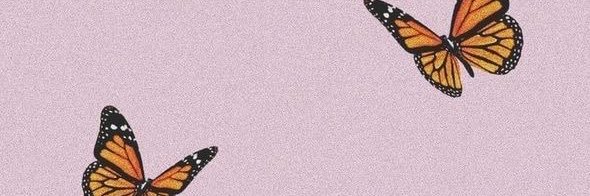 alllexiskay's profile banner image