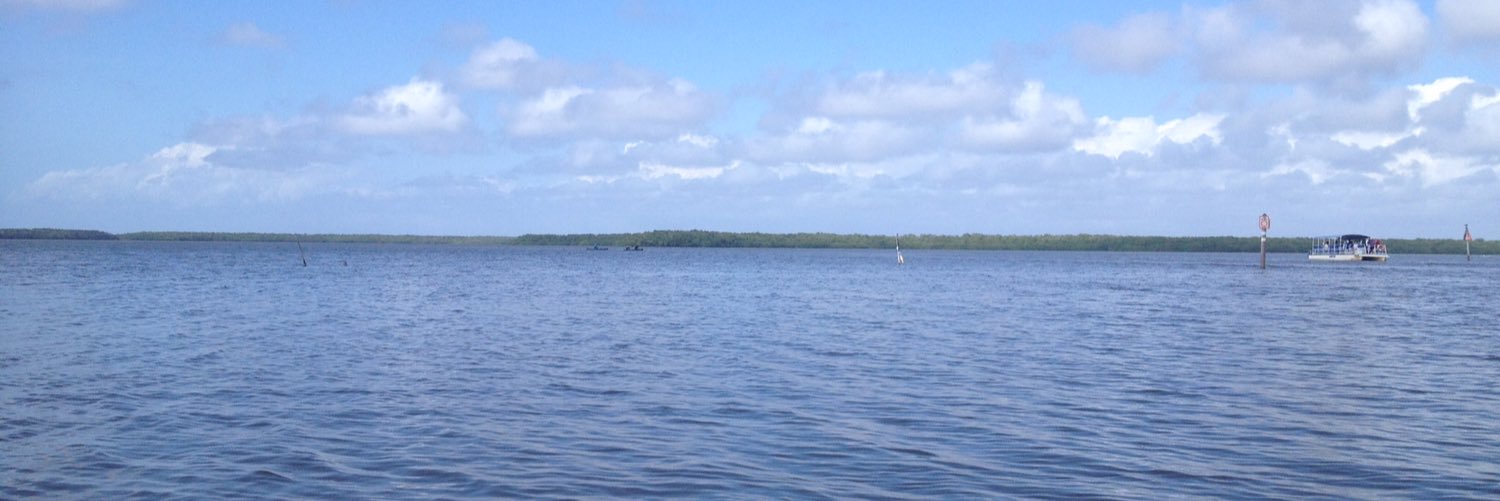 Vyolet07's profile banner image