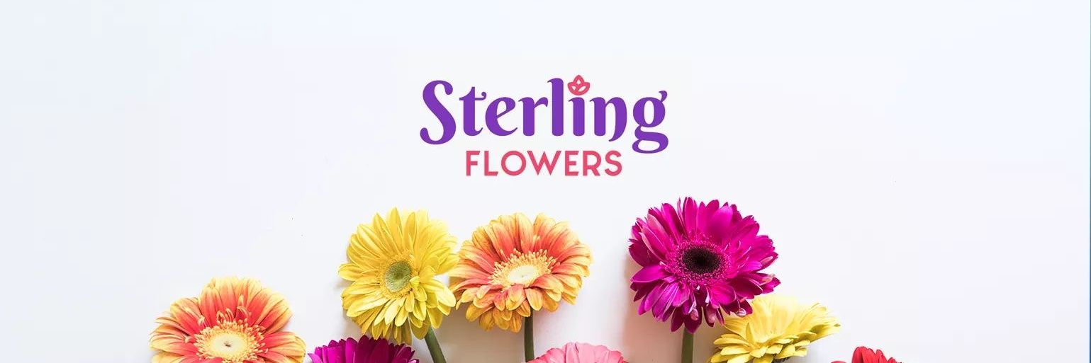 sterling_flower's profile banner image