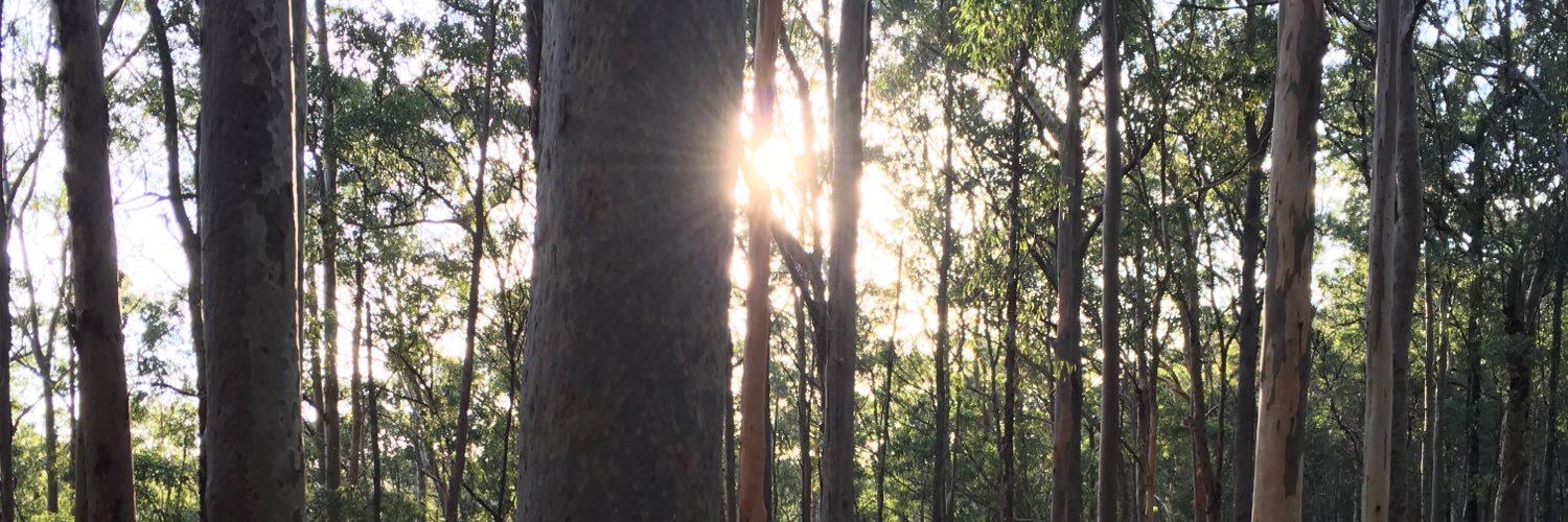 DBardoba's profile banner image