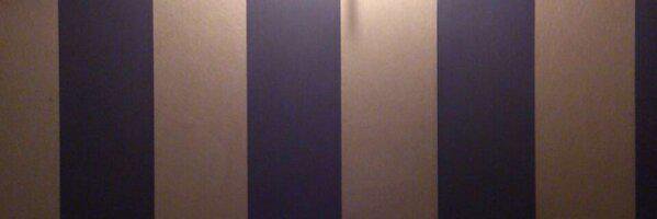 fsxxx1's profile banner image