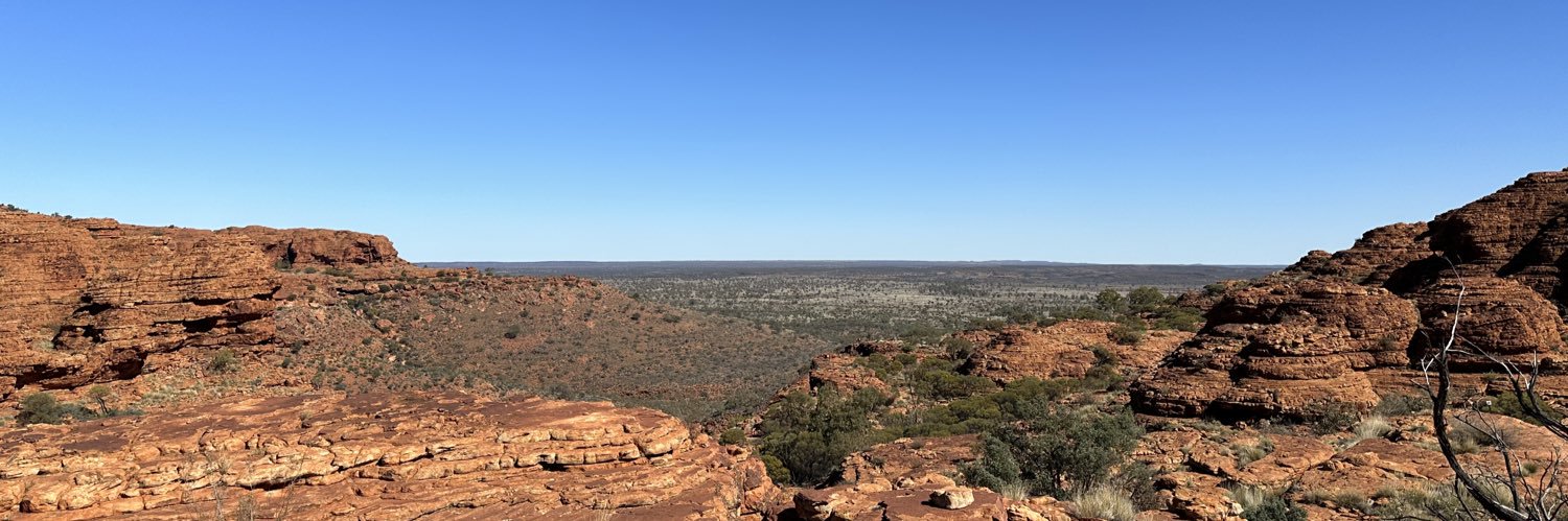 Takeshi Yoneda(マスタケ) banner