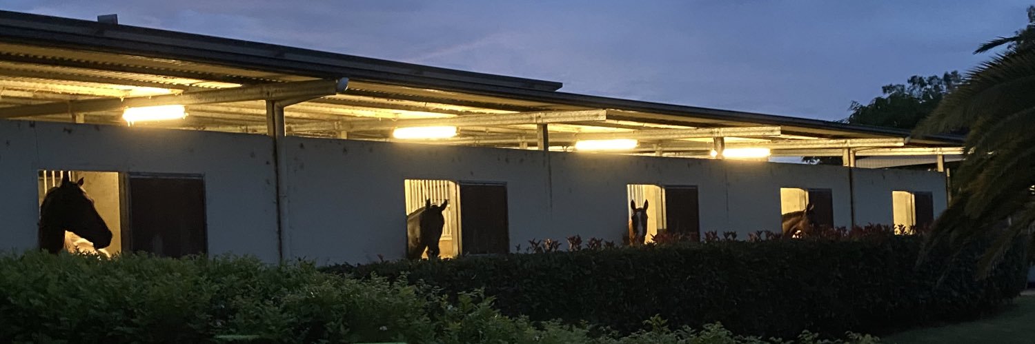 LLangbecker's profile banner image