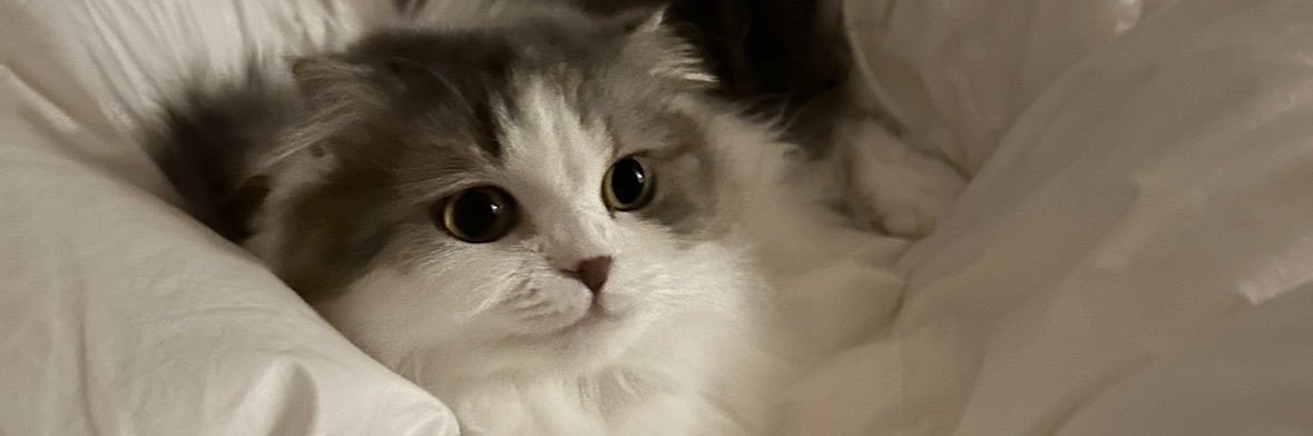 ___caprice_'s profile banner image