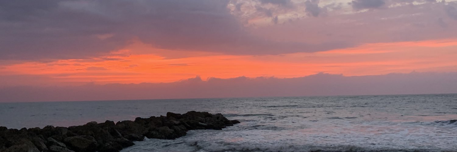 _valesg's profile banner image