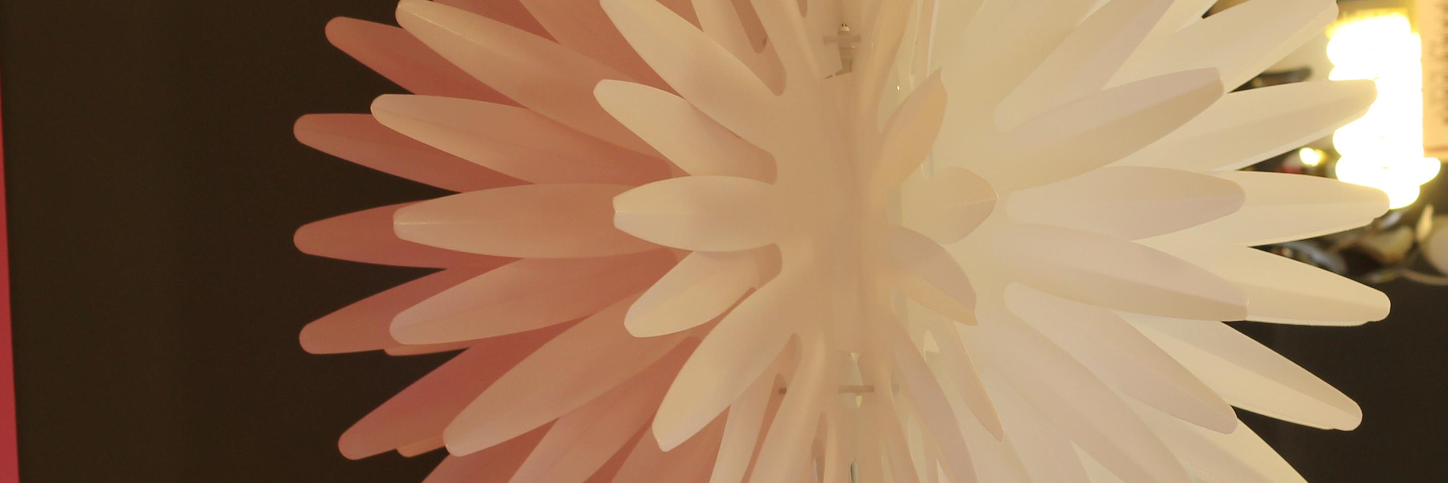 BONALLUM's profile banner image