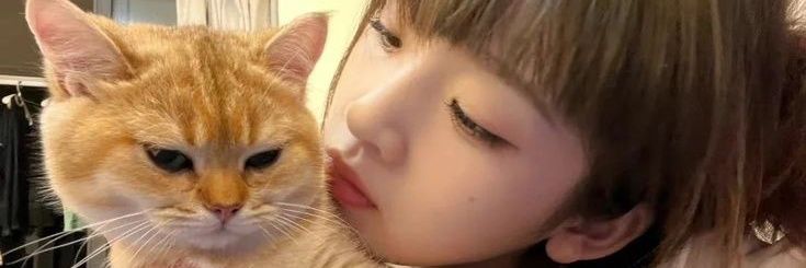 hummiau's profile banner image