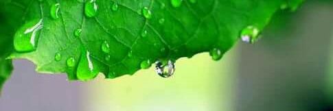 saritashukla's profile banner image
