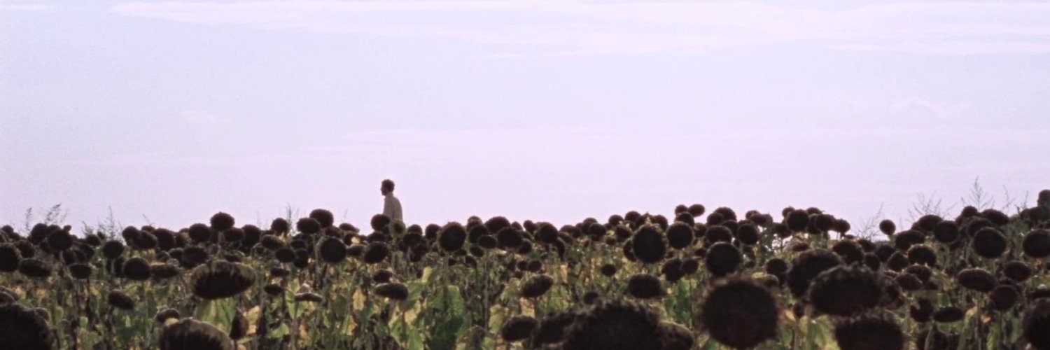 lachimerra's profile banner image