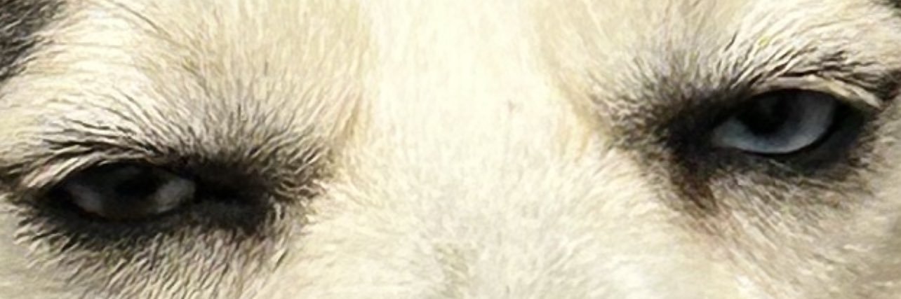 Superstepher's profile banner image