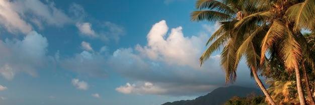 RUSM_PM's profile banner image