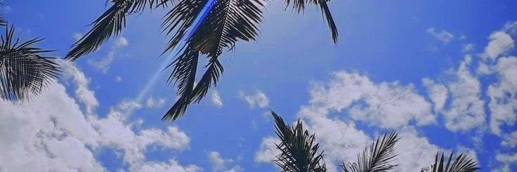 scaa_preloved's profile banner image