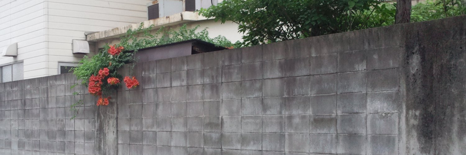 yu__kimura's profile banner image