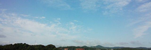 31派 banner