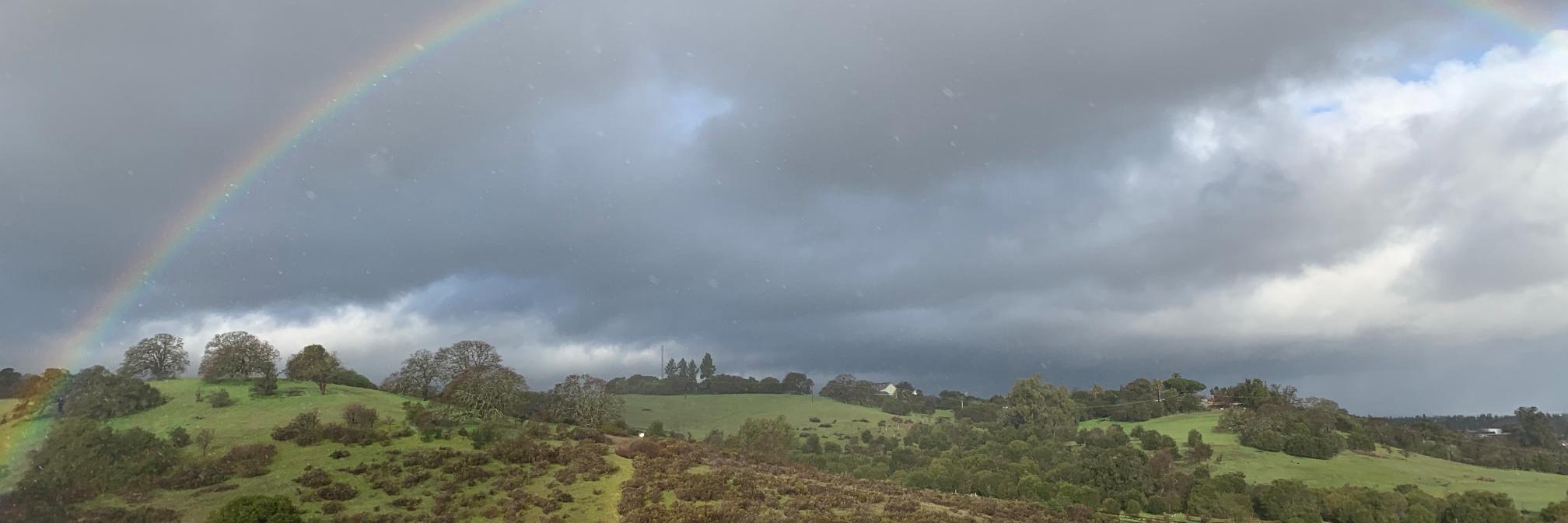 Catherine Crystal Foster banner