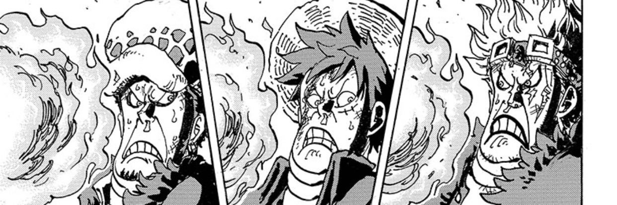 luffy_taro's profile banner image